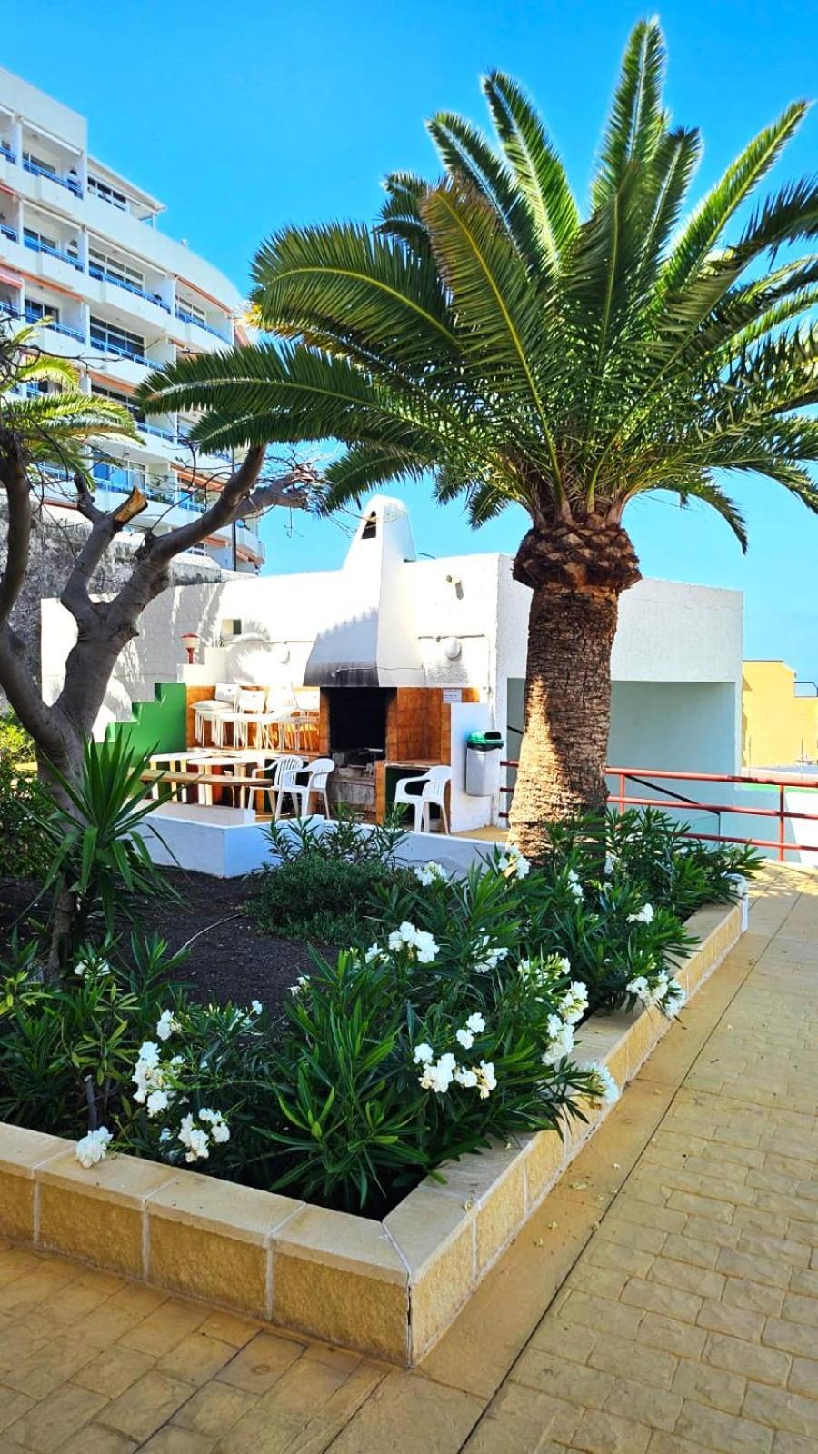 Апартаменты Playa de la Arena Puerto de Santiago  Dış mekan fotoğraf